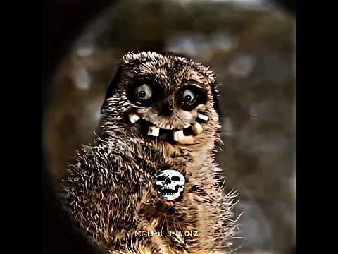 if kids drawing were real... #edit #drawing #trollface