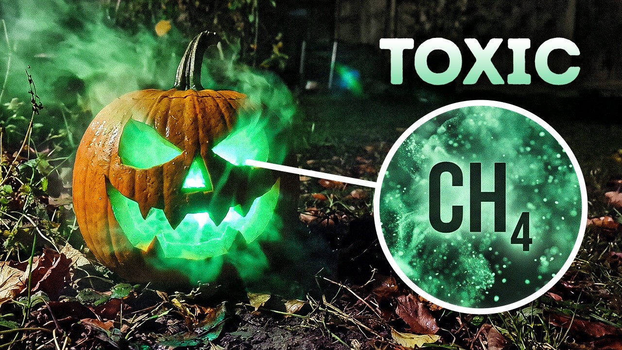 The Dark Side of Halloween Nobody Talks About