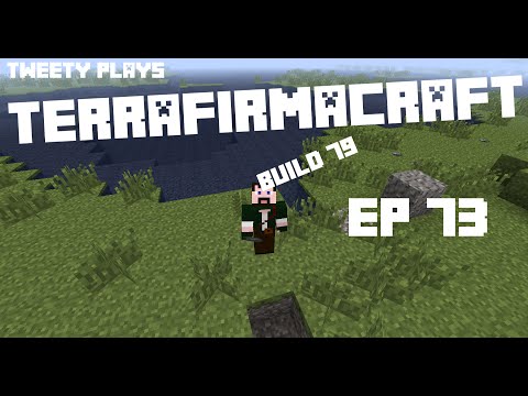 Tweety plays Terrafirmacraft ep 73 - wibbly?
