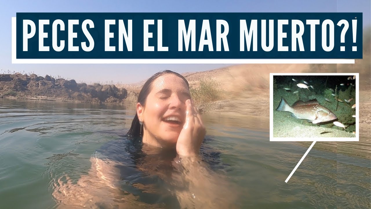 LA PROFECÍA SE ESTÁ CUMPLIENDO HOY! Israel con Aline