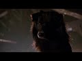 Babe Babe Meets The Dogs