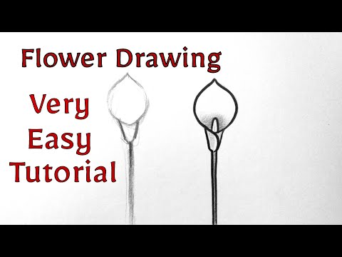How to draw a flower easy step by step | Pencil Drawing Flowers for beginners  Sketching Art Video