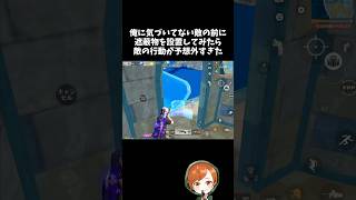 敵の目の前に遮蔽物を設置したら敵の行動が予想外すぎたｗｗサマーランド【#荒野行動】# Knives Out   #荒野アプデ  #荒野夏祭り