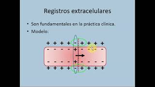 PA y ECG 1 - Cardiovascular y respiratorio