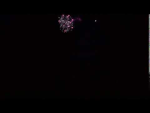 PS3006 KULOVÁ PUMA 3"  Purple Dahlia With White Strobe Pistils TARRA PYROTECHNIK