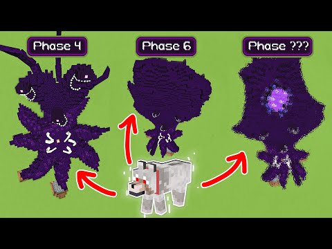 all stages wither storm vs superdog