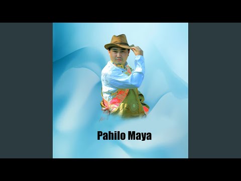 Pahilo Maya