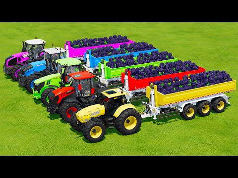LOAD BLACKBARRYS & TRANSPORT BATTLE WITH LAMBORGHINI, JCB, JOHN DERRE, FENDT & CLAAS TRACTORS - Farm