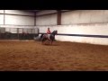 Jordan Kern with her new Walk Trot horse ....Bask ...
