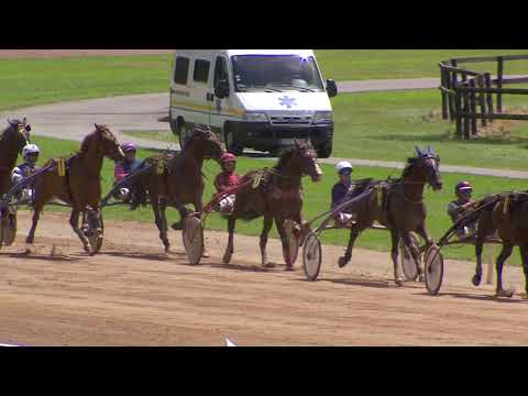 Grand National du Trot Paris-Turf 2015 - Etape 6 Laval - La course - VAL ROYAL