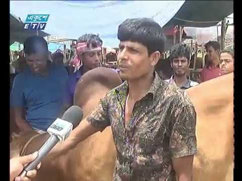 দেশের বিভিন্ন অঞ্চল থেকে পশু আসছে রাজধানীর পশুর হাটে