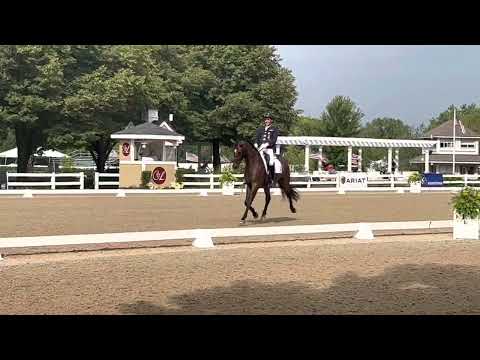 Cesar Parra on Mollegardens Fashion - 6 yr old National Champion
