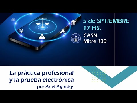 La Practica Profesional y la Prueba Electrónica