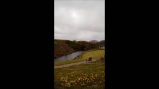 Indestructable by Emma Forman