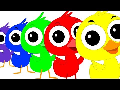 Colorful Duck Song | Duck Song | Kids Tv Color Video | Learn Colors With Ducks | Kids Tv Rhymes