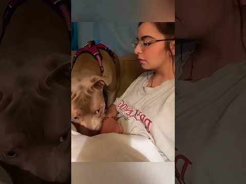 Dogs funny moments 😂❤️ #funny #videos #viral