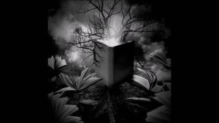 Non è stato per caso  Cocciante