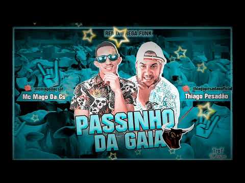 MC MAGO DA CS & THIAGO PESADÃO - PASSINHO DA GAIA - (BREGA FUNK)