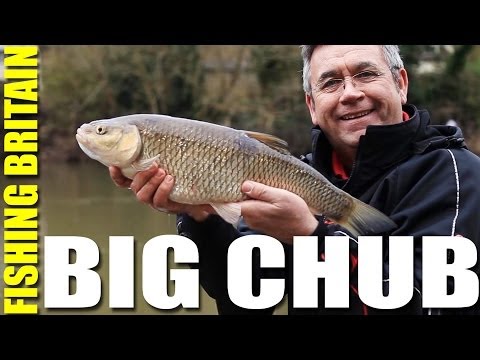 Fishing Britain – Big Wye Chub and Monster Lechlade Trout