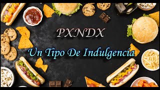 Un Tipo De Indulgencia - PXNDX (letra)