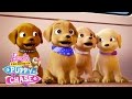 Puppy Playground | Barbie & Her Sisters in a Puppy Chase | @Barbie