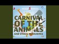 Peter And The Wolf A Musical Tale For Children Op 67 Rushton Version Now This Is The