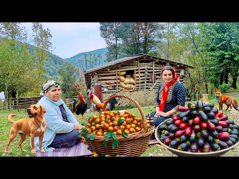 IRAN village life : Canned strange fruit and eggplant