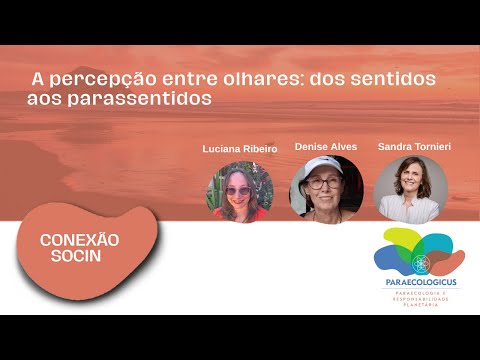 Conexão Socin:  A percepção entre olhares: dos sentidos aos parassentidos
