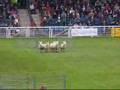 Royal Welsh Champion Of Champions 2007