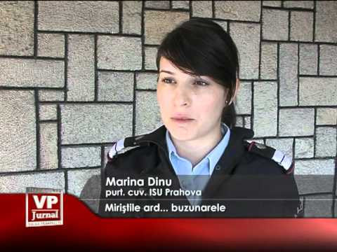 Miriştile ard… buzunarele