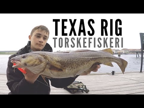 Torskefiskeri Med Texas-Rig // Codfishing With Texas-Rig – Streetfishing Copenhagen