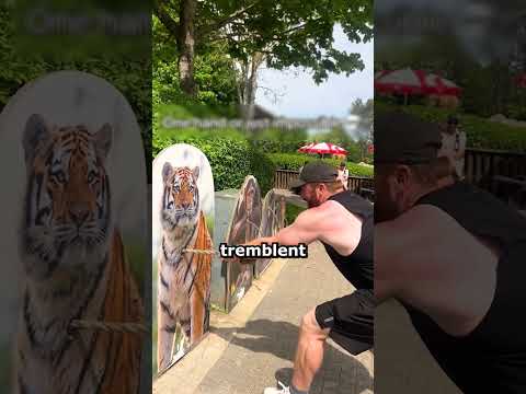 Il battre TOUS les animaux 😳💪🐘