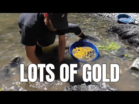 New Gold Panning Technique?!?  (it actually works)