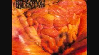 Dead Infection - Peritonitis