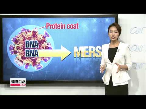 Confirmed MERS patients rise to 41 in just over two weeks in Korea； mutation pos