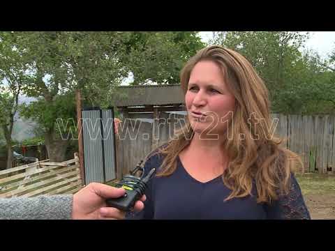 SHKOLLA E ZABERGJES   30 09 2017