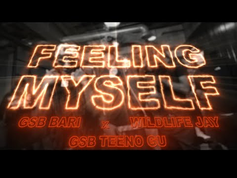 GSB - Feeling Myself Remix 