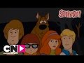 Bravo Scooby Doo Scooby Doo Cartoon Network