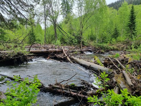 Исток реки Томь. Республика Хакасия.