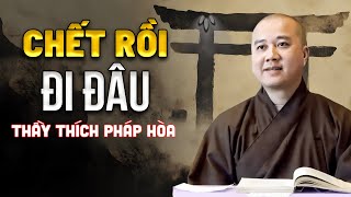 Ch.ế.t Rồi Đem Theo Gì? Thầy Thích Pháp Hòa Giải Thích Điều Quan Trọng Bạn Cần Biết!