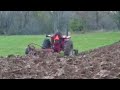 IH 686 535 Plow