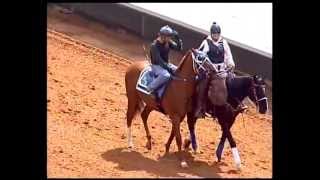 preview picture of video 'May 9, 2012 - Race 11 - Ruidoso Downs Race Track and Casino'