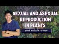 SEXUAL AND ASEXUAL REPRODUCTION IN PLANTS Filipino Earth And Life Science