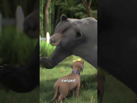 Dog Saves Woman From A Bear Attack 😱