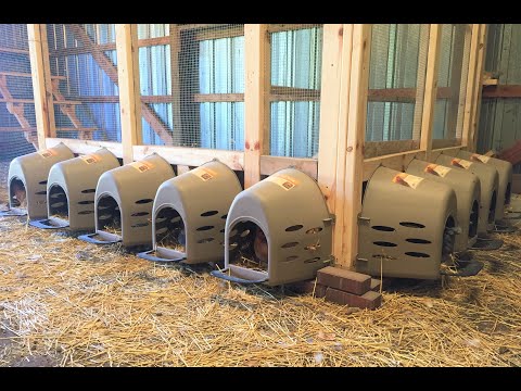 Product Review: Farm Innovators Model 3800 Plastic Nesting Box