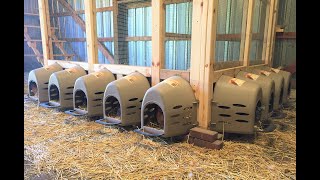 Product Review: Farm Innovators Model 3800 Plastic Nesting Box