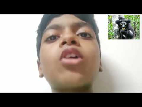 10 facts about Indri