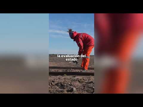 ¿Sabías que volvió la actividad ferroviaria a Jaramillo?