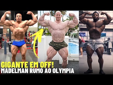 MADELMAN VS RAMON NO OLYMPIA | KRISO GIGANTE E LARRY WHEELS NO SHAPE