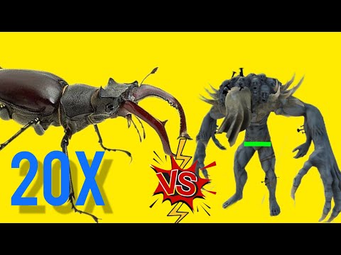 20X Giant Stag Beetle VS Scourge. ARBS mobile | Animal Revolt Battle Simulator